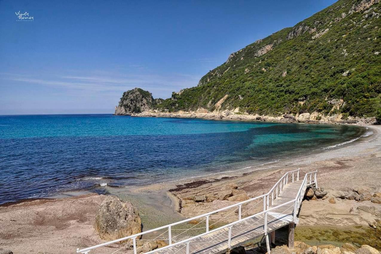 Alexandras Forest View Daire Agios Prokopios  Dış mekan fotoğraf